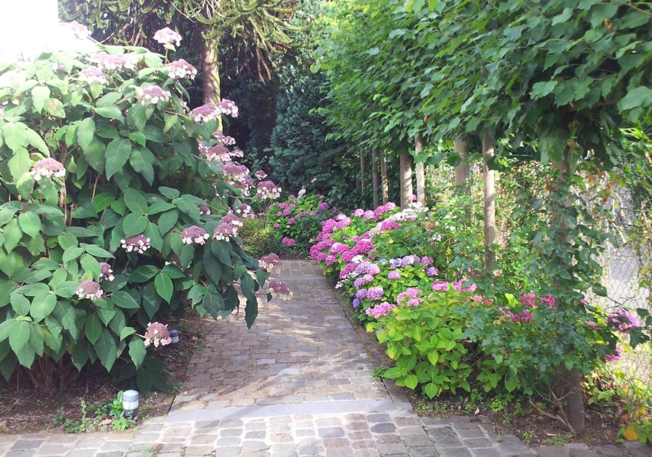 La Pastorale Brussels Expo Bed & Breakfast Wemmel Eksteriør bilde